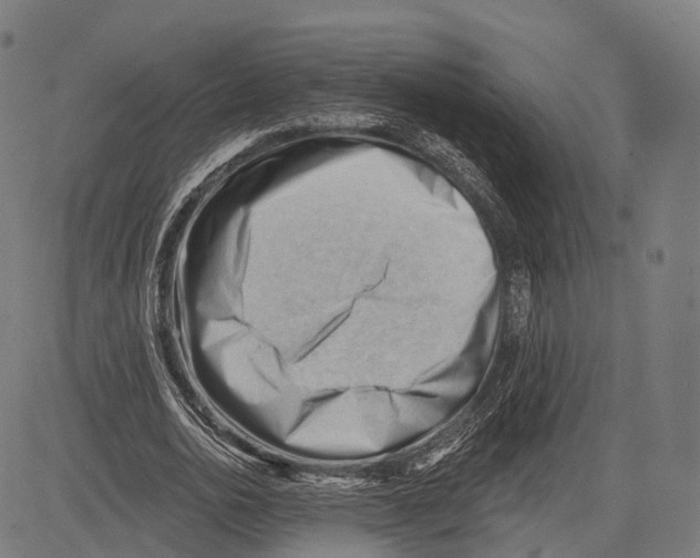 X0000083610726200703121602