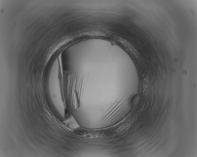 X0000083610727200703121602