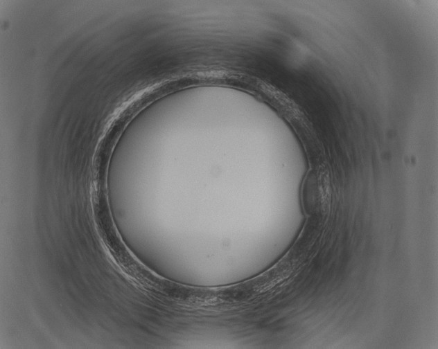 X0000083610728200703121602