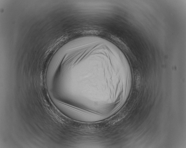 X0000083610729200703121602