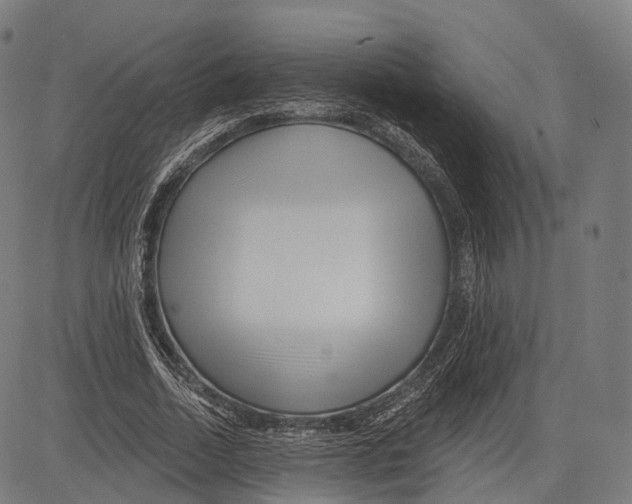 X0000083610730200703121602