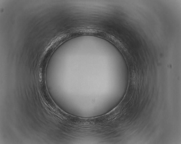 X0000083610731200703121602