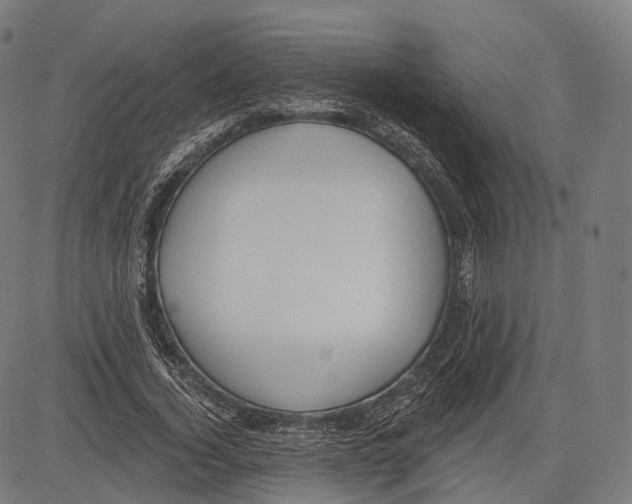 X0000083610732200703121602