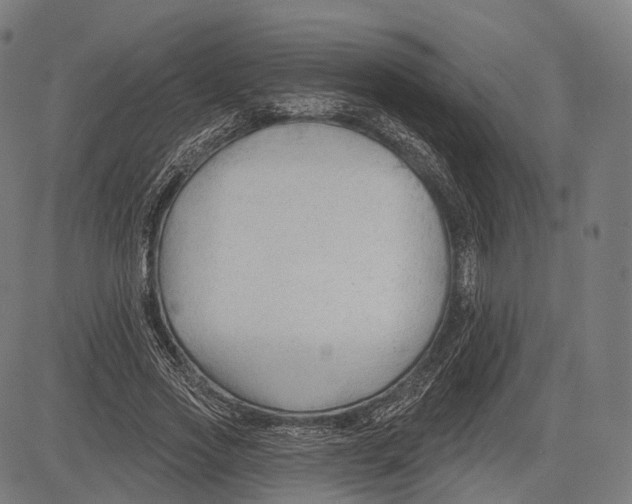 X0000083610733200703121602