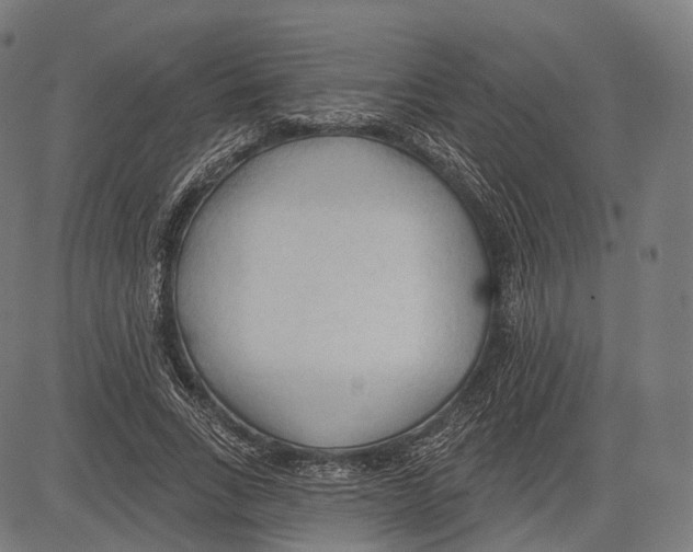 X0000083610735200703121602