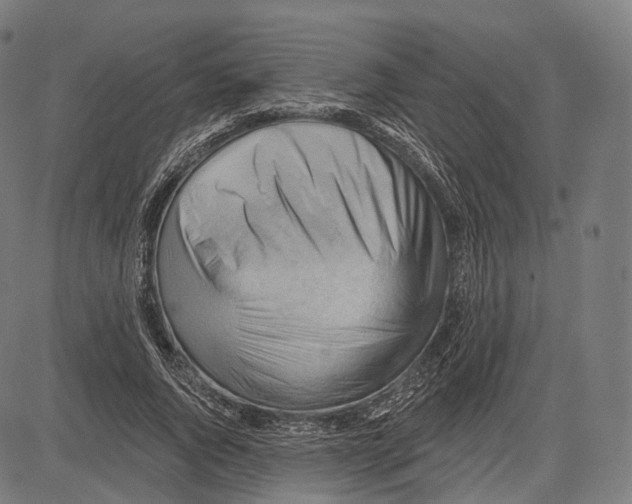 X0000083610736200703121602