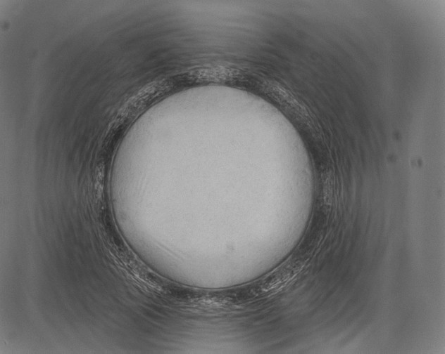 X0000083610737200703121602