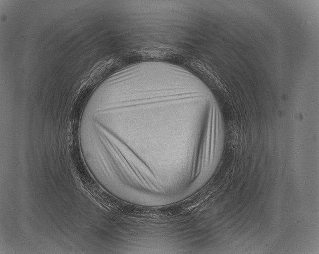 X0000083610738200703121602