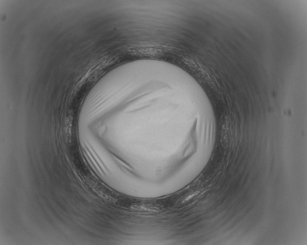 X0000083610739200703121602