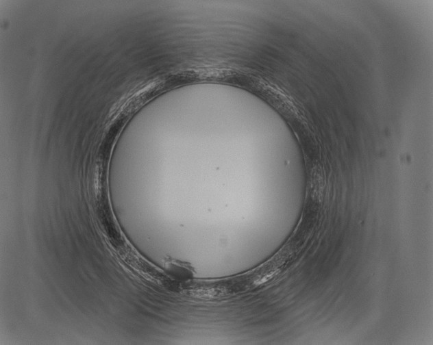 X0000083610740200703121602