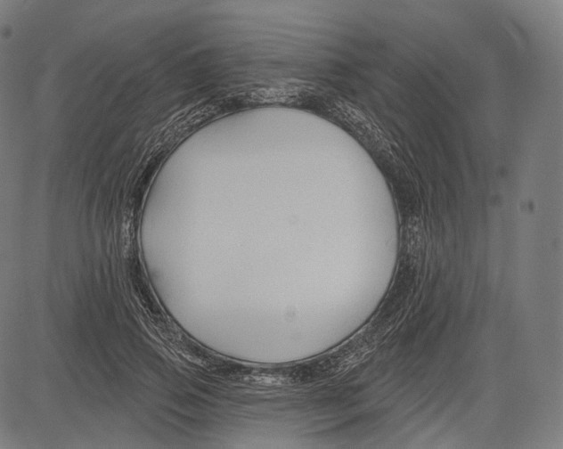 X0000083610741200703121602