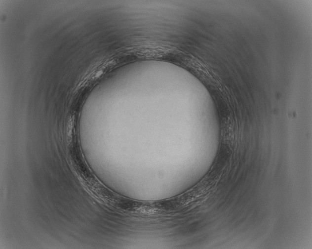 X0000083610742200703121602