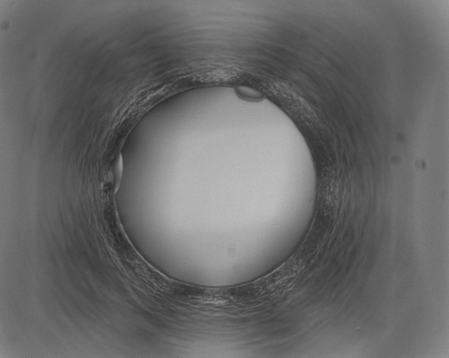 X0000083610743200703121602