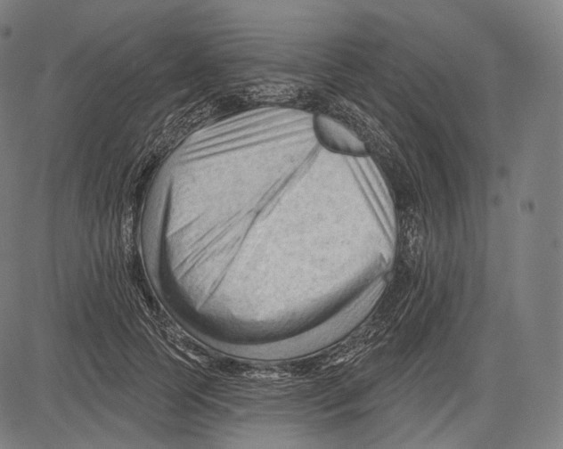 X0000083610745200703121602