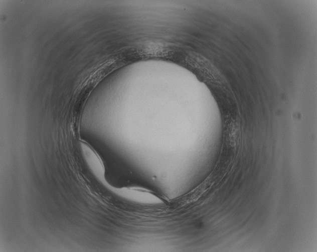 X0000083610746200703121602