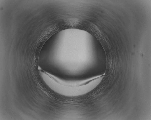 X0000083610750200703121602