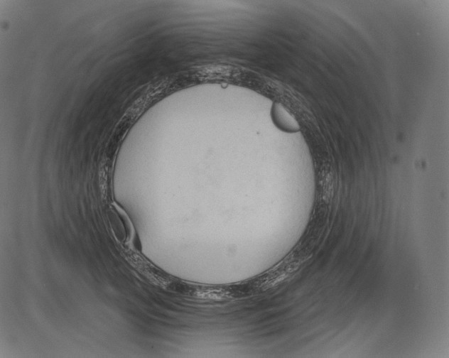 X0000083610753200703121602