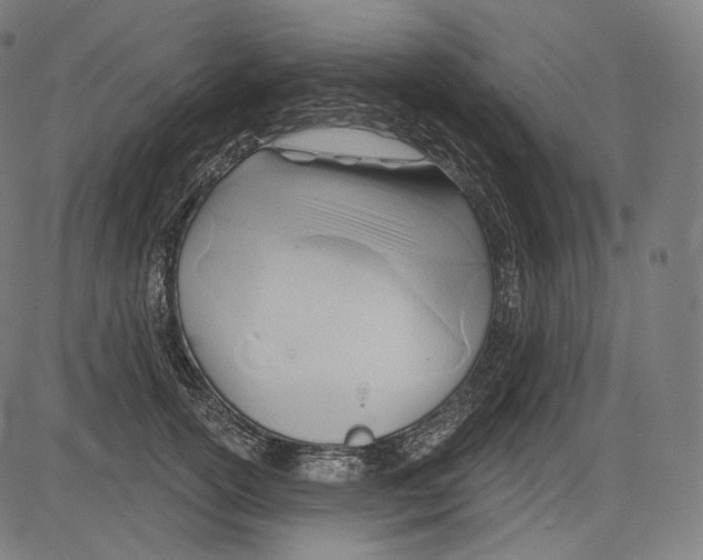 X0000083610754200703121602