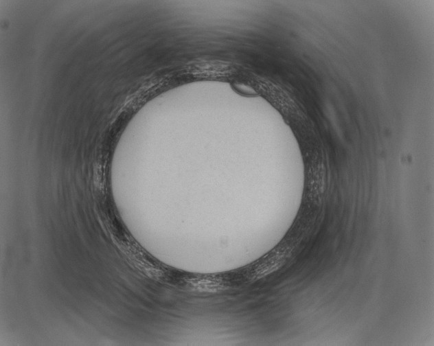 X0000083610755200703121602