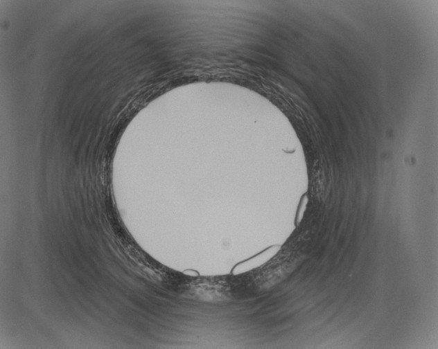 X0000083610756200703121602