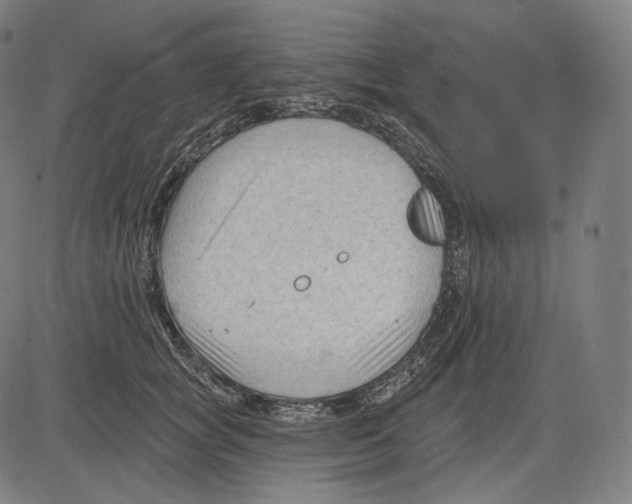 X0000083610757200703121602