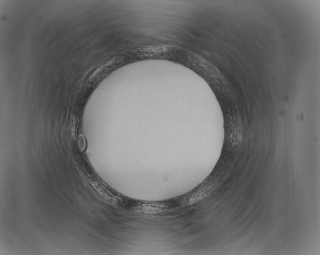 X0000083610758200703121602