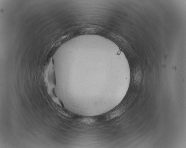 X0000083610759200703121602