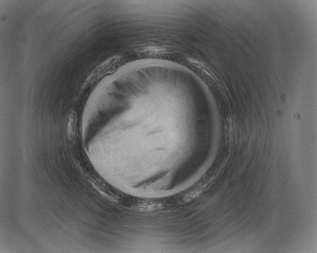 X0000083610760200703121602