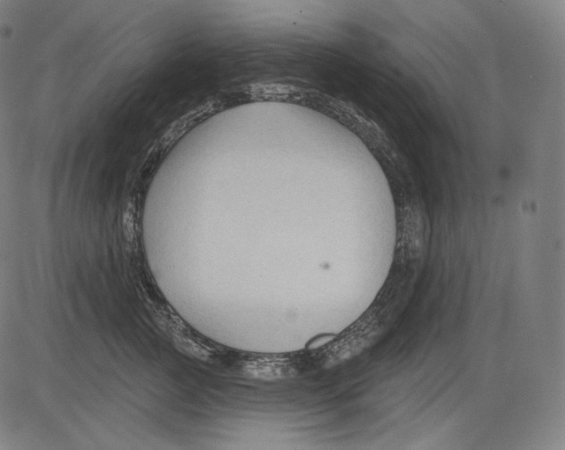 X0000083610761200703121602