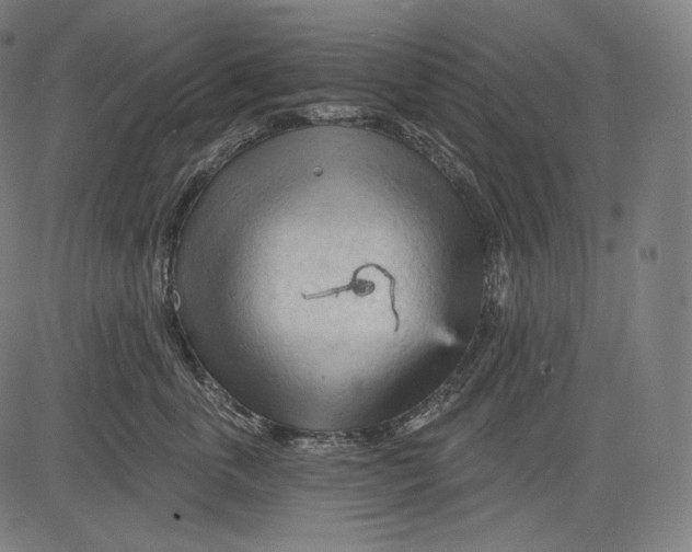 X0000083610763200703121602