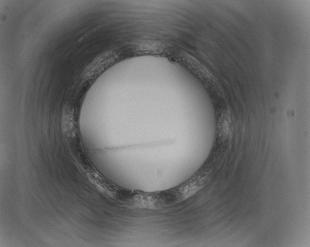 X0000083610764200703121602