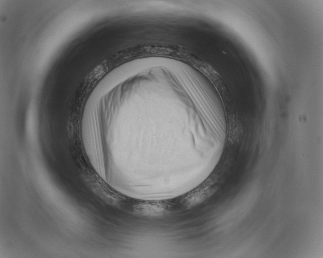 X0000083610765200703121602