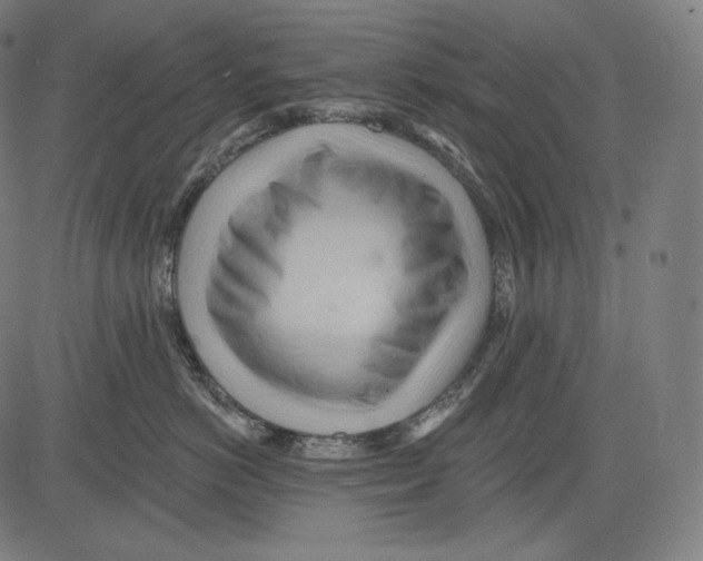 X0000083610766200703121602