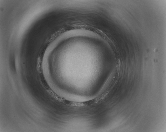 X0000083610767200703121602