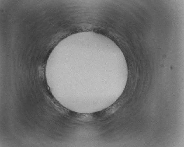 X0000083610768200703121602