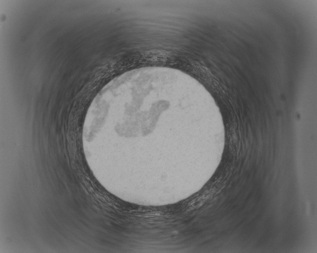 X0000083610769200703121602