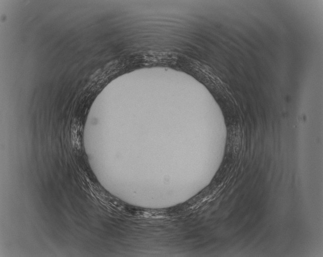 X0000083610770200703121602