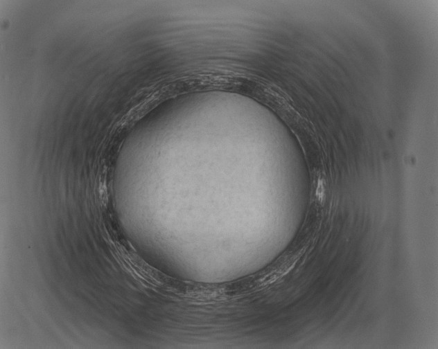 X0000083610771200703121602