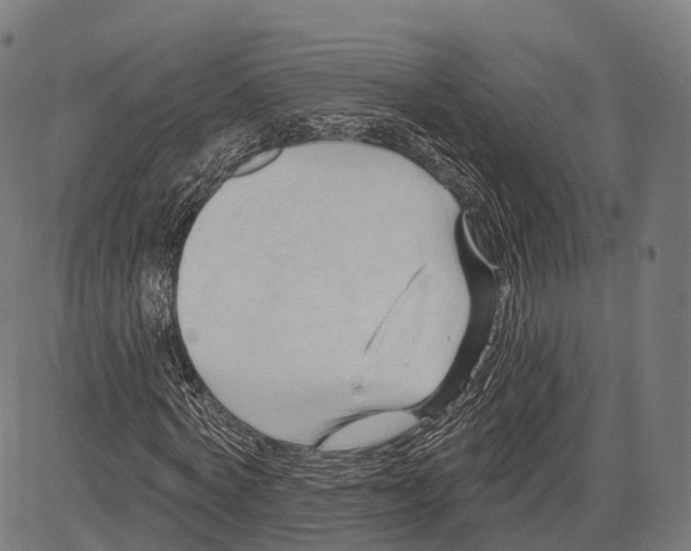 X0000083610772200703121602