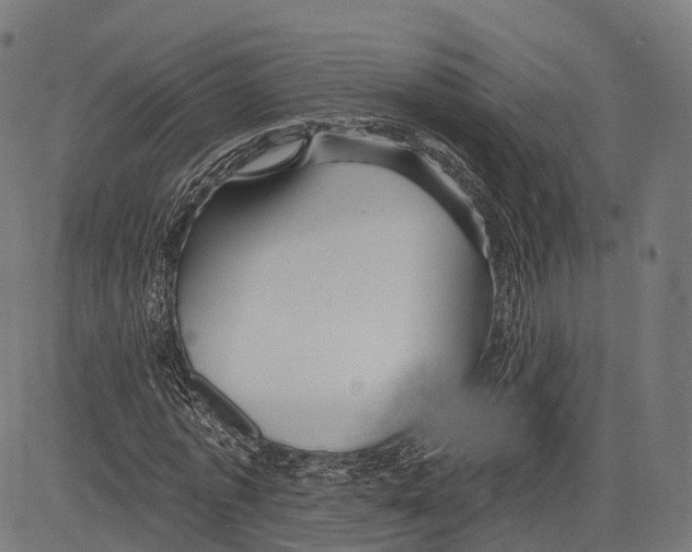 X0000083610773200703121602