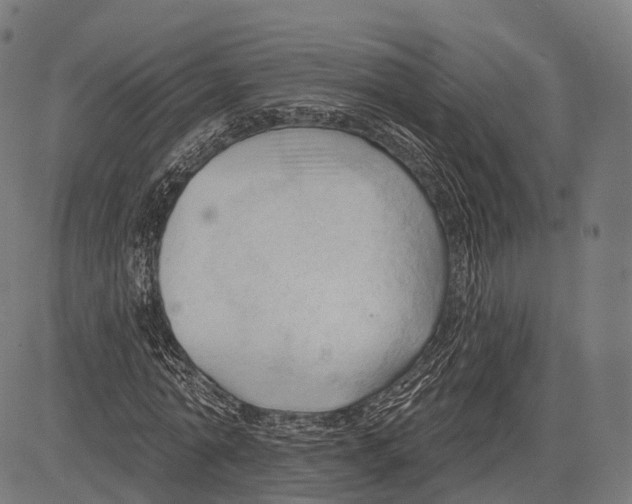 X0000083610774200703121602