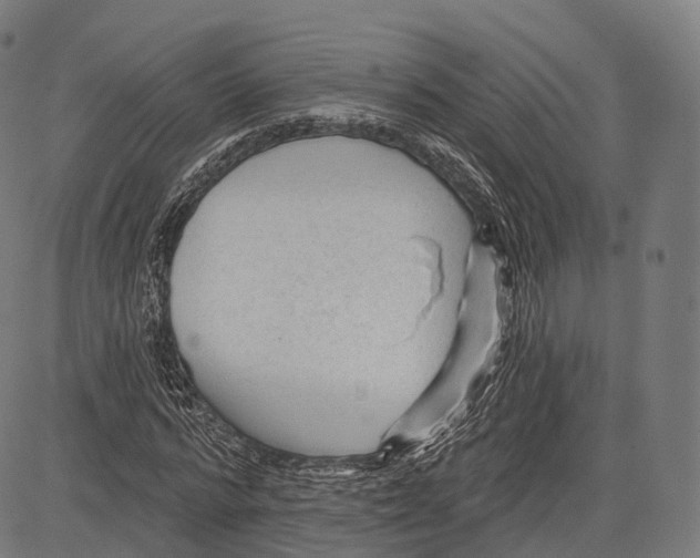 X0000083610776200703121601