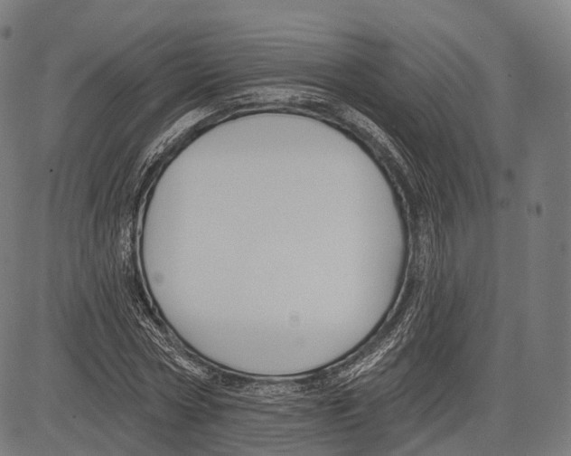 X0000083610778200703121601