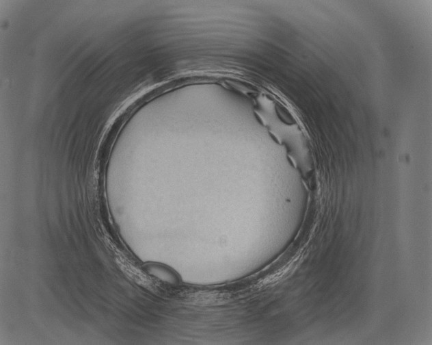 X0000083610779200703121601