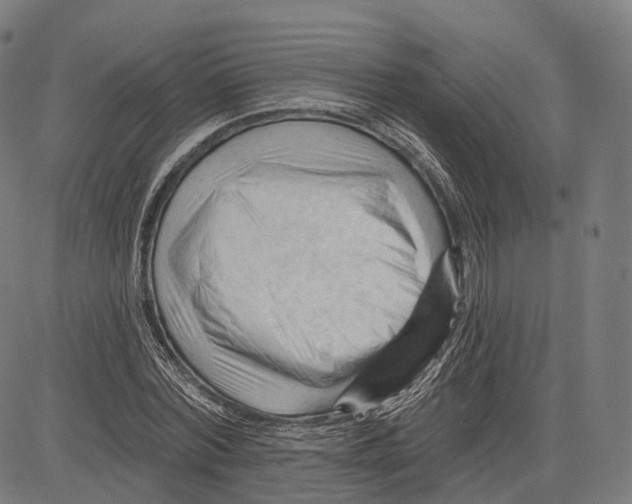 X0000083610780200703121601