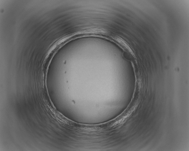 X0000083610781200703121601