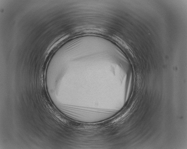 X0000083610782200703121601