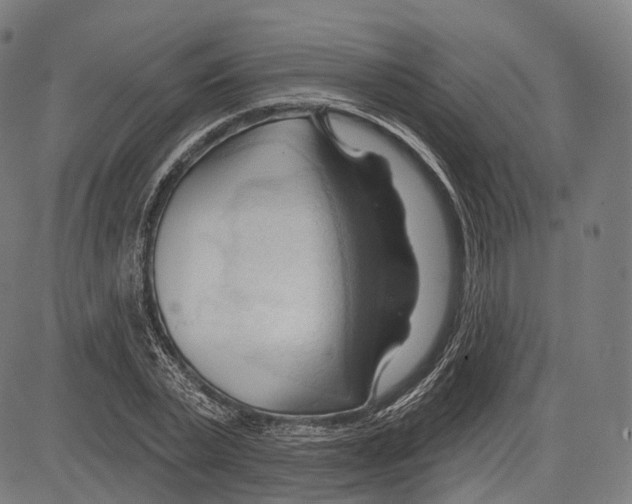 X0000083610783200703121601