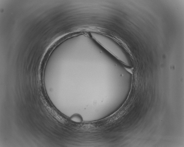 X0000083610784200703121601