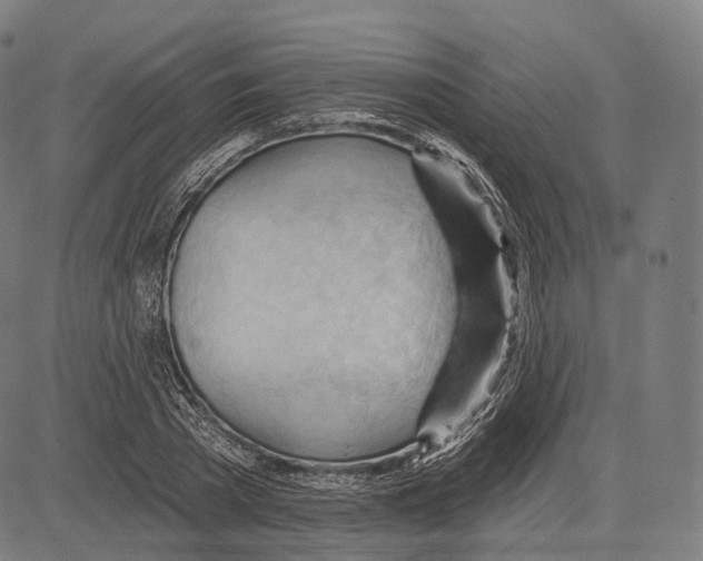 X0000083610785200703121601